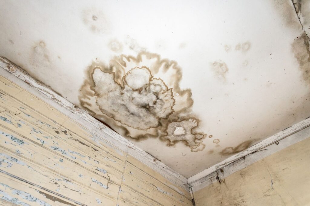 Mold spots on a ceiling, indicating dampness and moisture issues, relevant to home restoration and damp proofing discussions.
