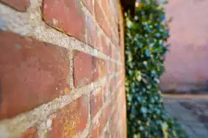 Close-up of a brick wall showing signs of moisture and grime, with green ivy growing alongside, highlighting the importance of regular brick cleaning to prevent damp and mould growth.